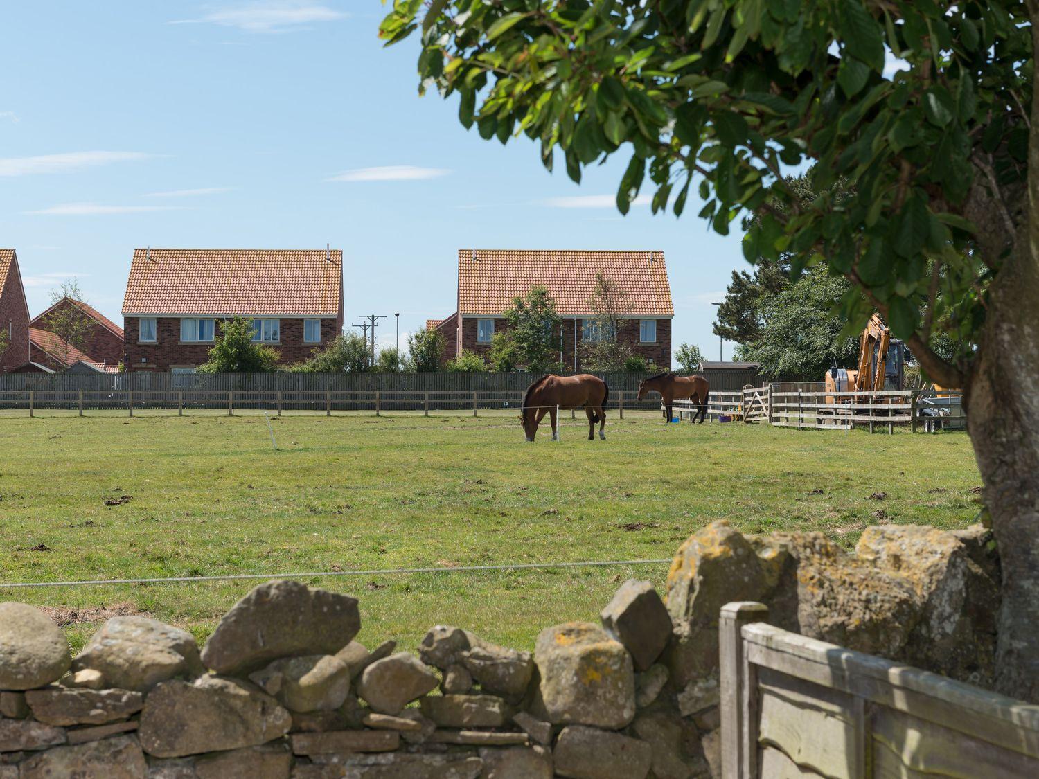 Lavender Cottage Chathill ภายนอก รูปภาพ